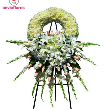 Coronas