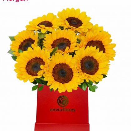 Encanto de Girasoles