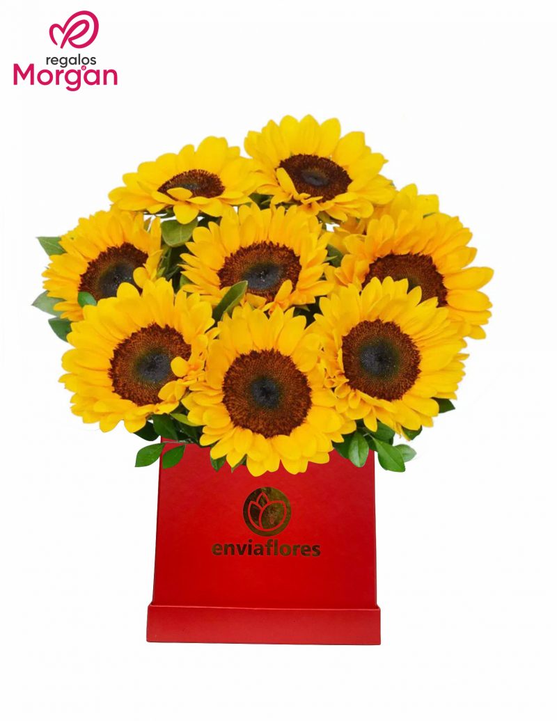 Encanto de Girasoles