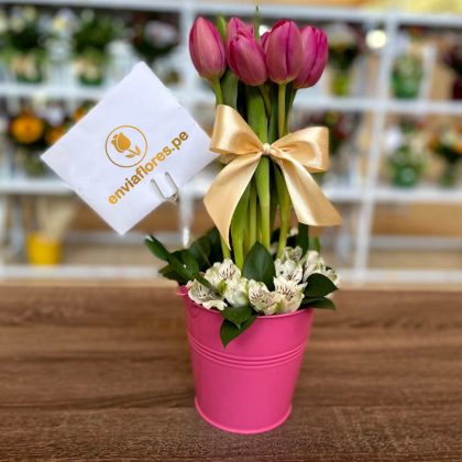 tulipan rosado