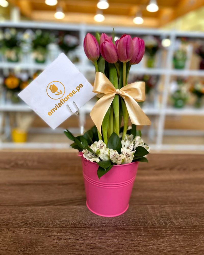 tulipan rosado