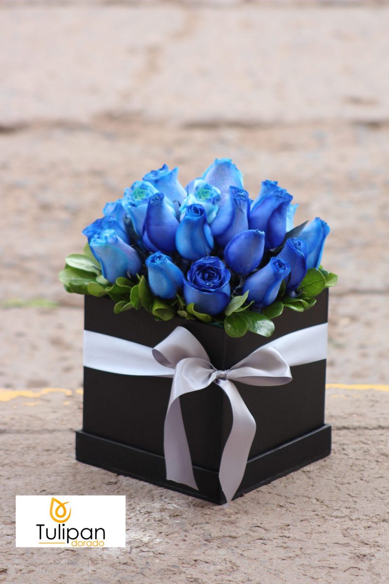 rosas azules