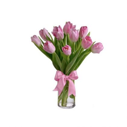 tulipan rosado
