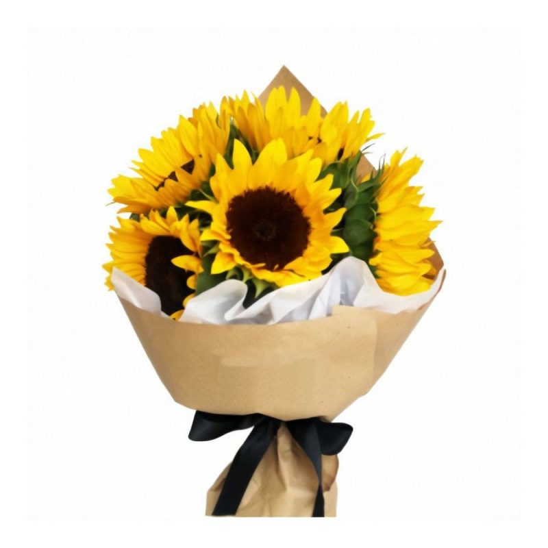 Girasoles