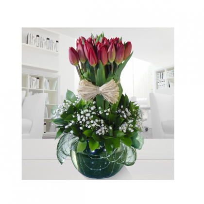 Tulipan rojo