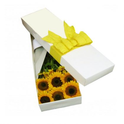 Girasoles