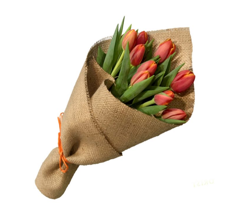 ramo de tulipan