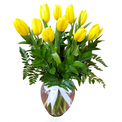 tulipán amarillo
