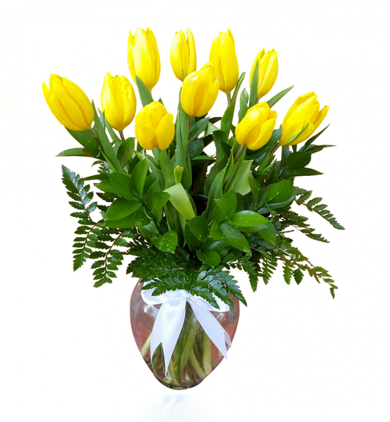 tulipán amarillo
