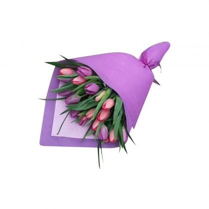 TULIPANES