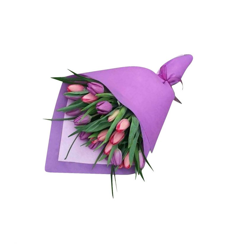 TULIPANES