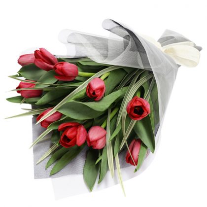 TULIPANES