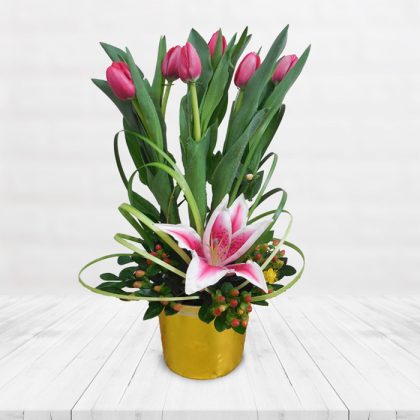 TULIPANES