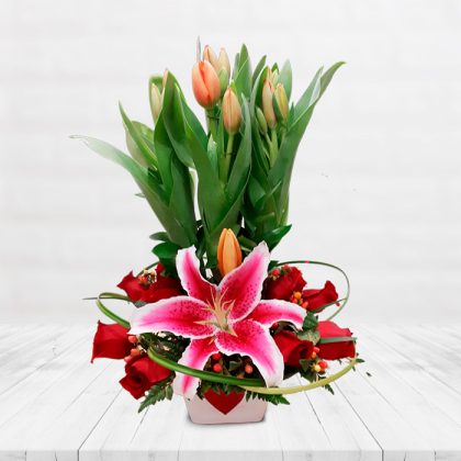 TULIPANES