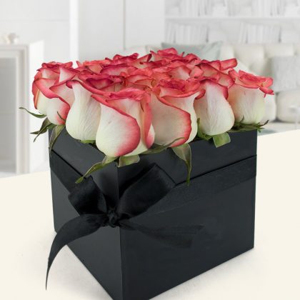 box rosas bicolor