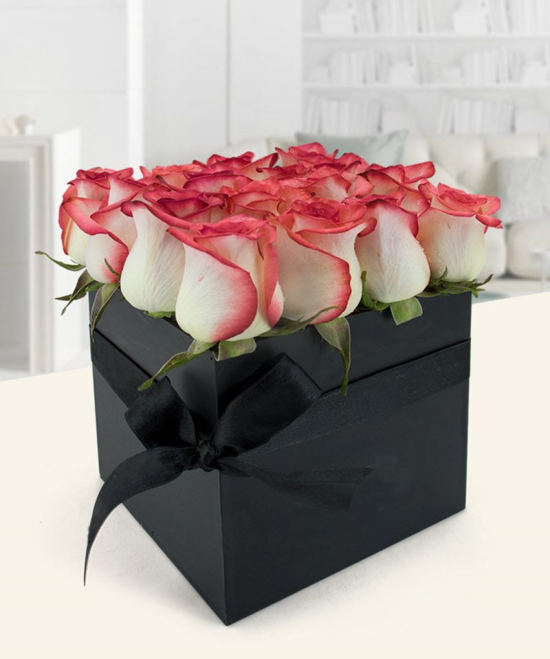 box rosas bicolor