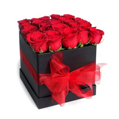 box 25 rosas