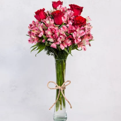 box con 24 rosas moradas