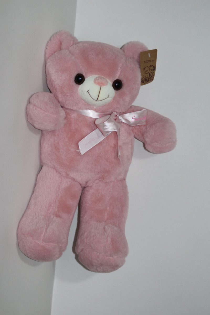oso con laso - Imagen 2