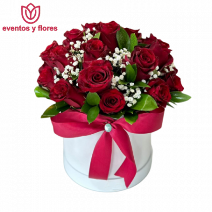 box de 24 rosas