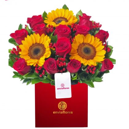 Box cuadrado con delivery en Cusco
