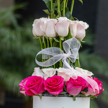 torre de 40 rosas