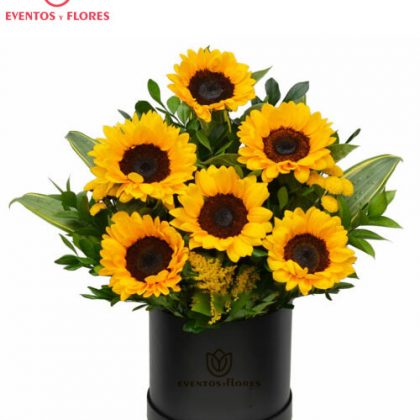 Box de 6 Girasoles Radiantes