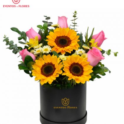 Box Exclusiva de Rosas y Girasoles