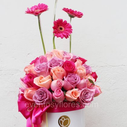 Box Premium de 50 rosas