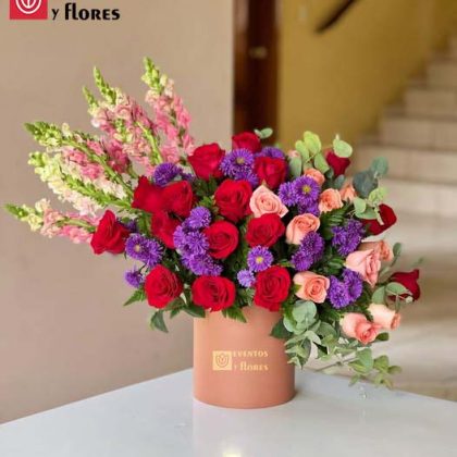 Box Rosada – Rosas Rojas, Rosadas y bariedades Moradas
