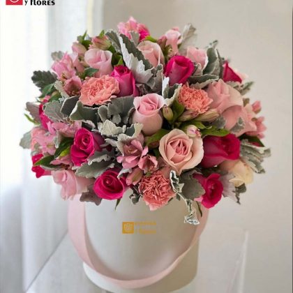box 35 rosas y claveles