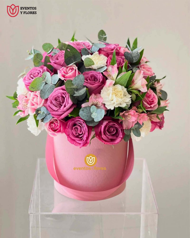 🌸✨ Dulce Serenidad – Box de Rosas, Claveles & Astromelias