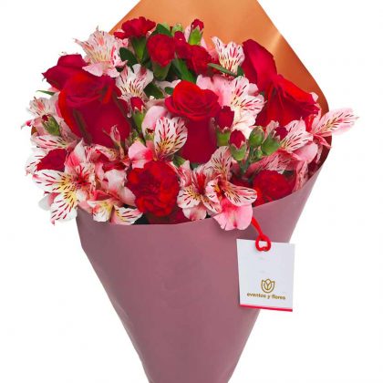 ramo de 6 rosas, 6 claveles y astromelias
