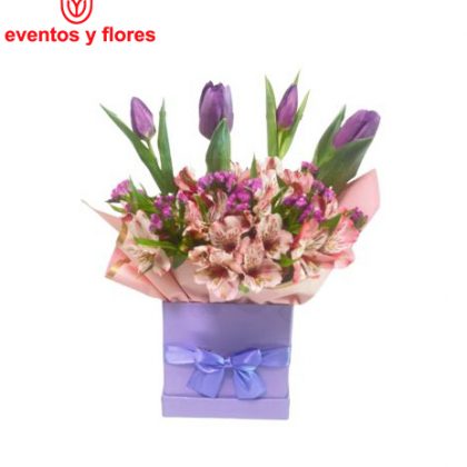 tulipan y astromelias