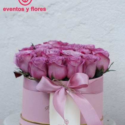 Encanto Lila | Box de 20 Rosas Lilas en Cusco